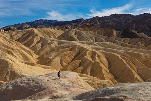 zabriskie